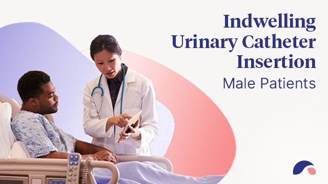 Image for Urinary Catheter Insertion for Male Patients