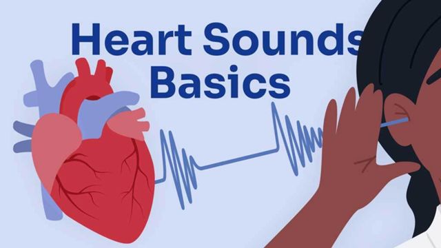 Image for Heart Sounds Basics