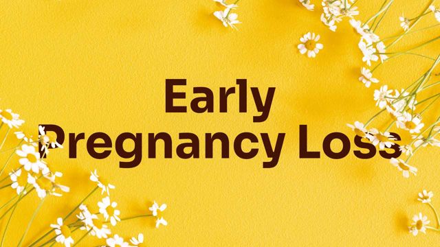 Image for  Early Pregnancy Loss: Providing Sensitive Care