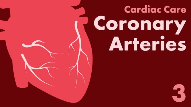 Cover image for: Cardiac Care Part 3: Coronary Arteries