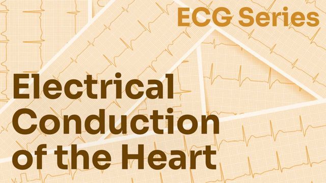 Cover image for: ECG Series: Understanding Electrical Conduction of the Heart