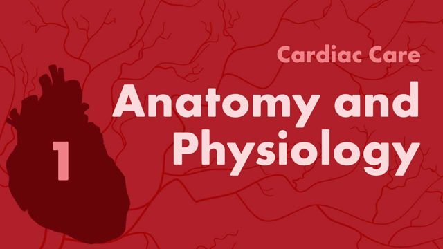 Cover image for: Cardiac Care Part 1: Anatomy and Physiology