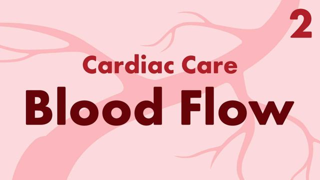 Cover image for: Cardiac Care Part 2: Blood Flow