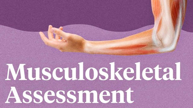 Image for Basic Principles of Musculoskeletal Assessment
