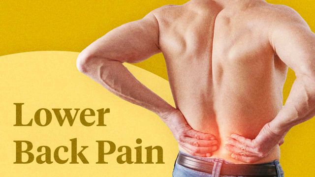 Assessment Of Lower Back Pain Ausmed Lectures