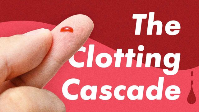 Cover image for: The Clotting Cascade
