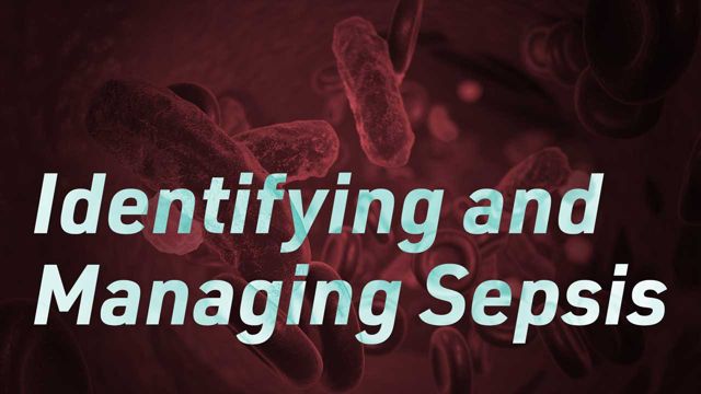 Cover image for: Identifying and Managing Sepsis