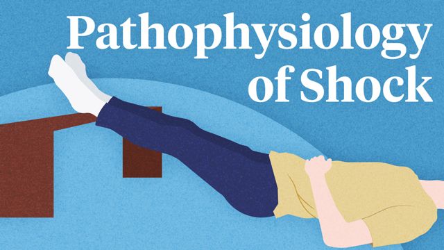 Cover image for: The Pathophysiology of Shock