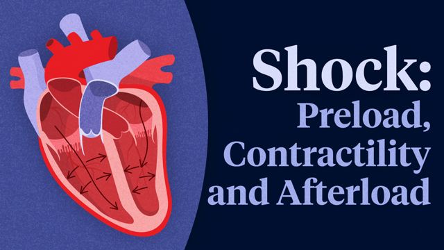 Image for Understanding Shock: Preload, Contractility and Afterload